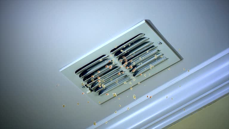 Best Best Air Duct Cleaning Company  in Locust, NC