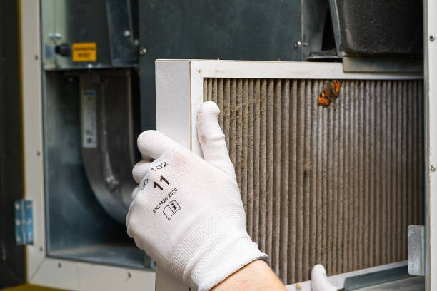 Best Affordable Air Duct Cleaning  in Locust, NC